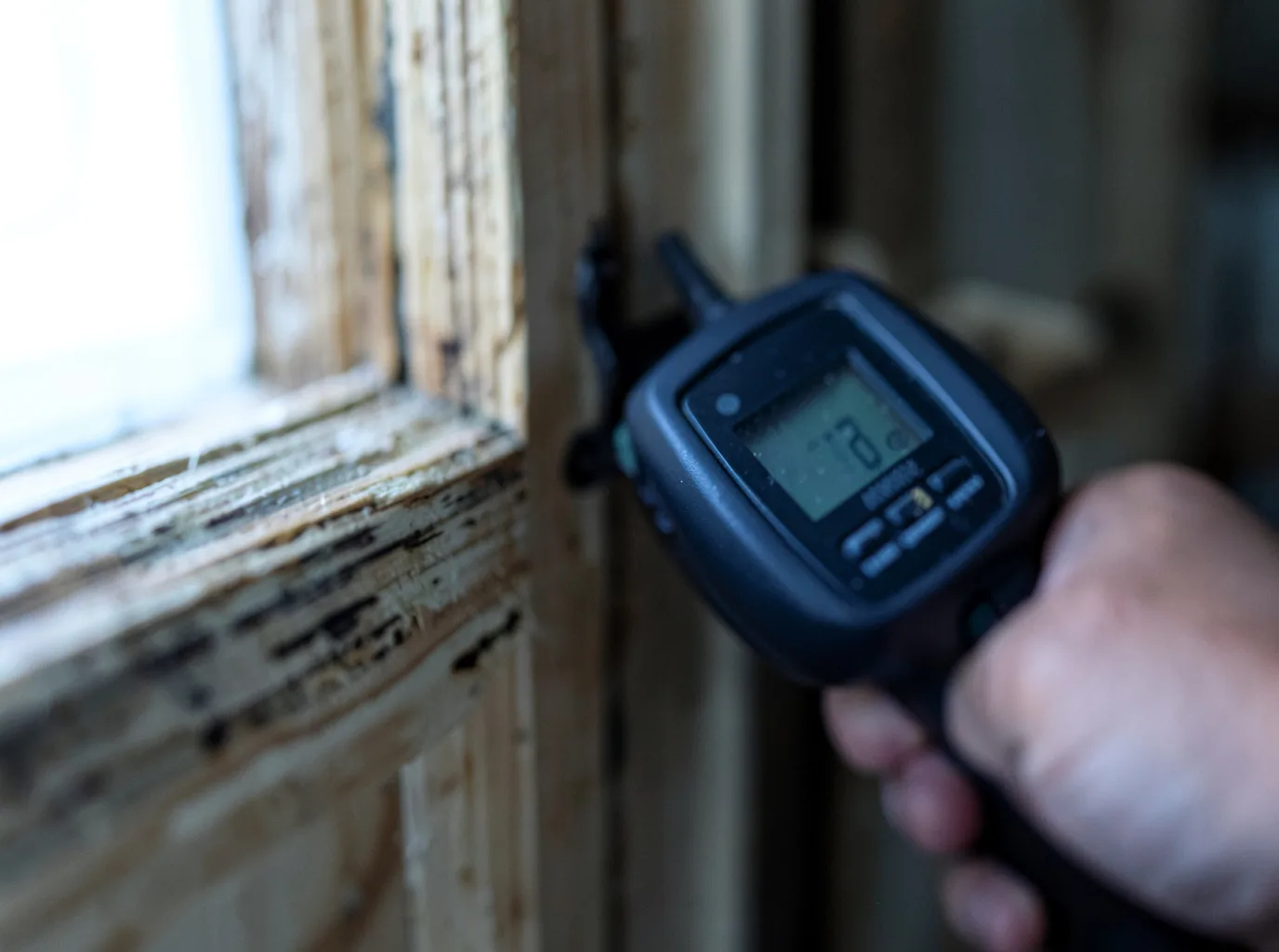 Moisture Inspection And Documentation in Washburn, ME